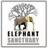 Elephant Sanctuary in Hartbeespoort Dam , South Africa