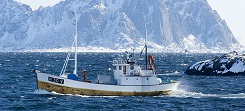 Fishing Boat,Lofoten Islands,Norway (Click for Lofoten Web Site)