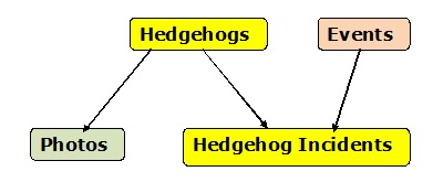 Conceptual Data Model for Hedgehogs