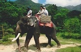 Norlia and Barry ride an Elephant on Langkawi island in Malaysia