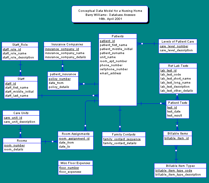 Conceptual Data Model for a Nursing Home