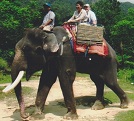 Elephant Ride in Langkawi Island, Malaysia