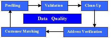 The Data Lineage Cycle