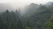 Kyomizu Dera, Japan