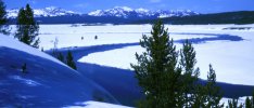 Winter in Yellowstone National Park, Wyoming - US Government NPS Photo -
 (Click for large Image - 58Kb).